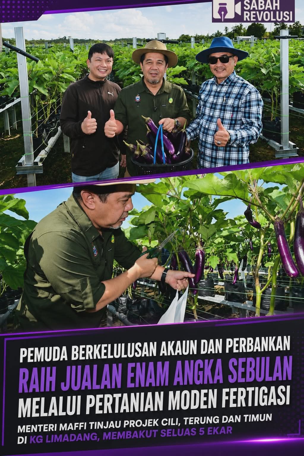 PEMUDA BERKELULUSAN AKAUN DAN PERBANKAN RAIH JUALAN ENAM ANGKA SEBULAN MELALUI PERTANIAN MODEN